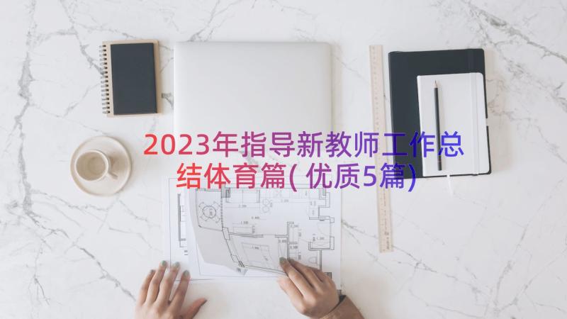 2023年指导新教师工作总结体育篇(优质5篇)