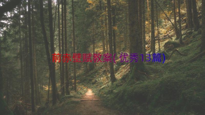 前赤壁赋教案(优秀13篇)