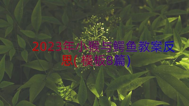 2023年小猴与鳄鱼教案反思(模板8篇)