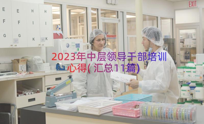 2023年中层领导干部培训心得(汇总11篇)