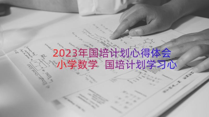 2023年国培计划心得体会小学数学 国培计划学习心得(优秀14篇)