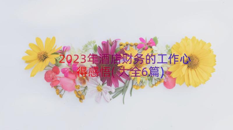 2023年酒店财务的工作心得感悟(大全6篇)