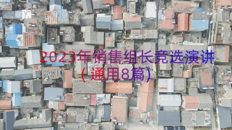 2023年销售组长竞选演讲(通用8篇)