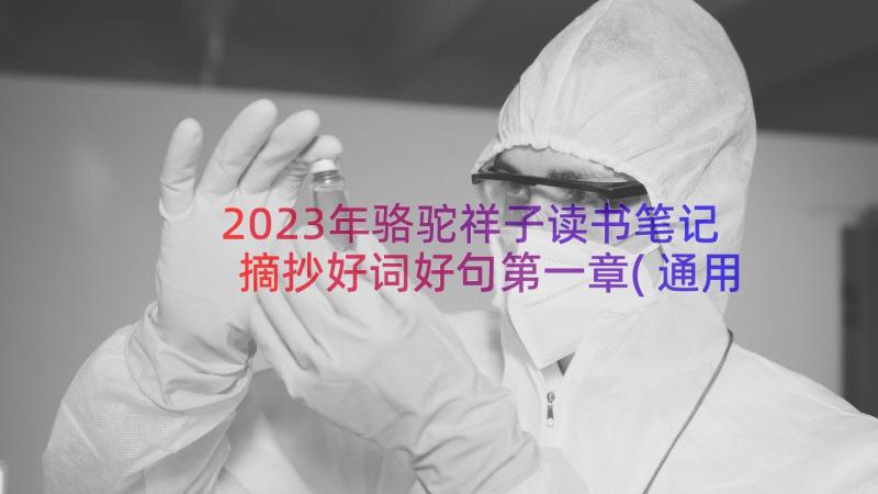 2023年骆驼祥子读书笔记摘抄好词好句第一章(通用8篇)