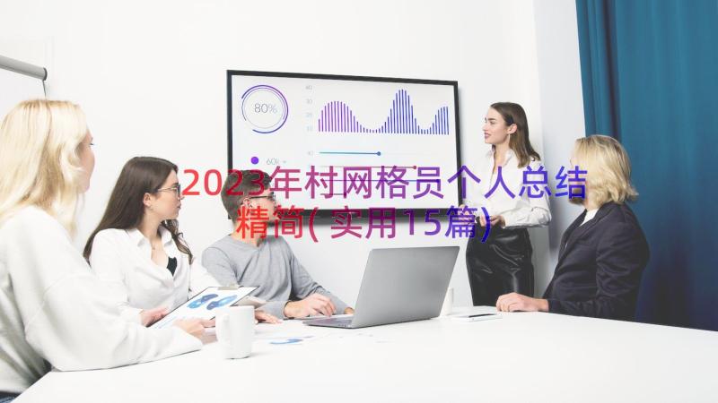 2023年村网格员个人总结精简(实用15篇)