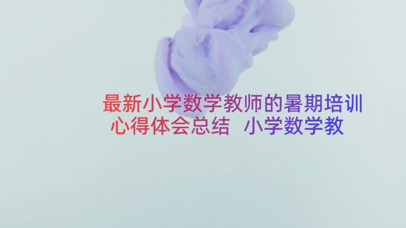 最新小学数学教师的暑期培训心得体会总结 小学数学教师暑期培训心得体会(汇总16篇)