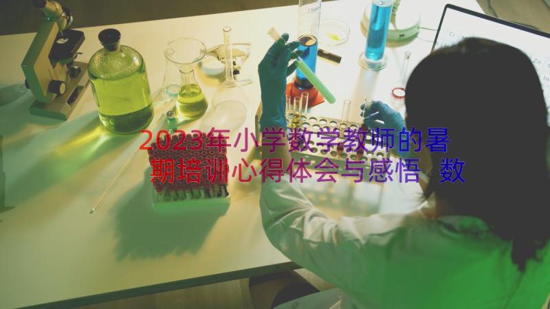 2023年小学数学教师的暑期培训心得体会与感悟 数学教师暑期培训心得体会(实用15篇)