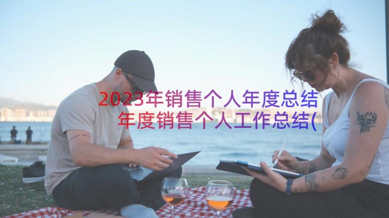 2023年销售个人年度总结 年度销售个人工作总结(汇总10篇)