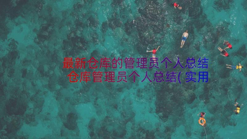 最新仓库的管理员个人总结 仓库管理员个人总结(实用11篇)