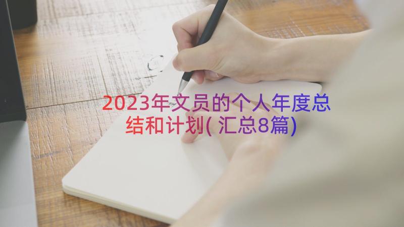 2023年文员的个人年度总结和计划(汇总8篇)