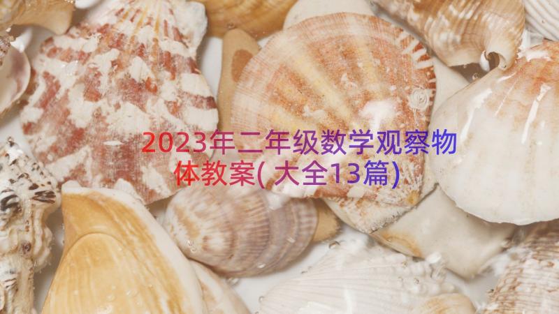 2023年二年级数学观察物体教案(大全13篇)