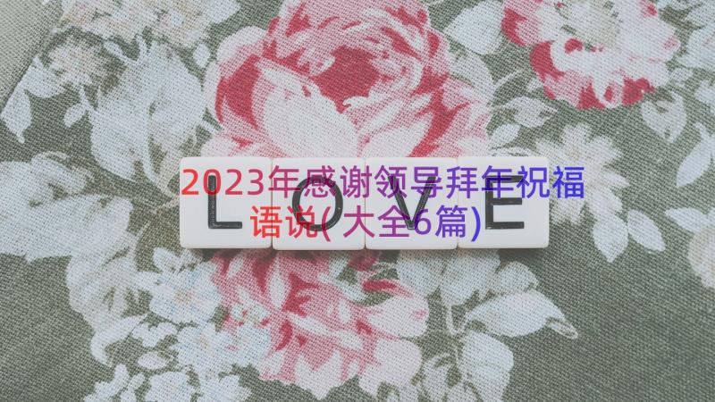 2023年感谢领导拜年祝福语说(大全6篇)