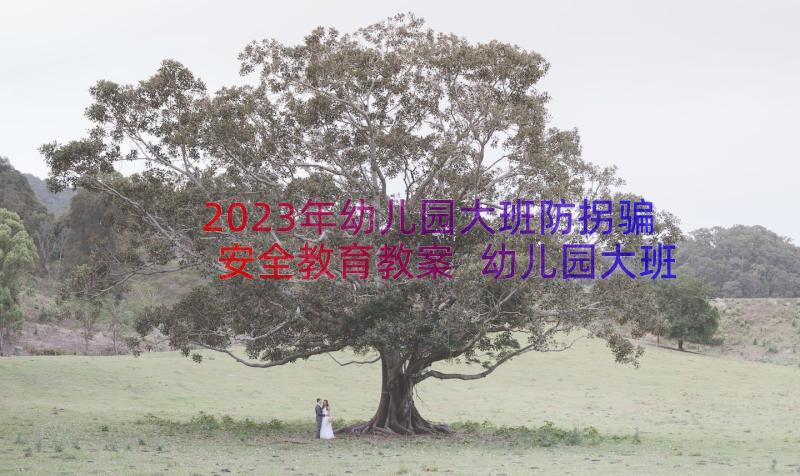 2023年幼儿园大班防拐骗安全教育教案 幼儿园大班安全教育教案(模板20篇)