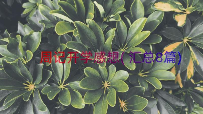 周记开学感想(汇总8篇)