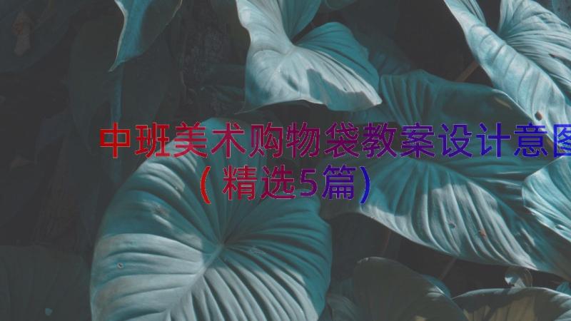 中班美术购物袋教案设计意图(精选5篇)