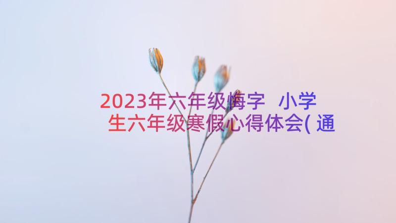 2023年六年级悔字 小学生六年级寒假心得体会(通用13篇)