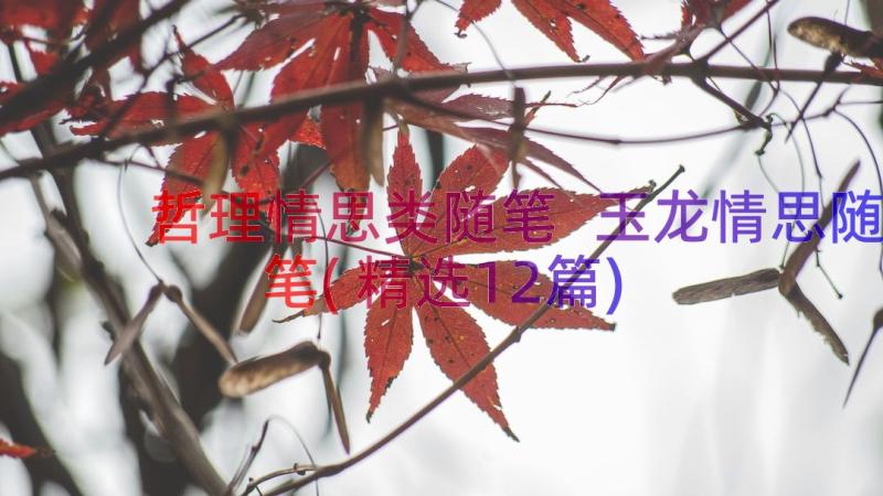 哲理情思类随笔 玉龙情思随笔(精选12篇)