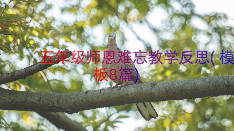 五年级师恩难忘教学反思(模板8篇)