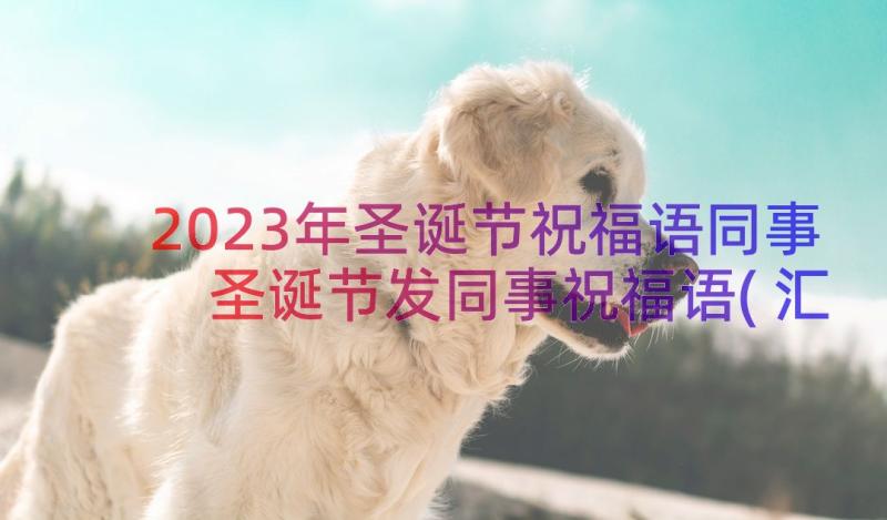 2023年圣诞节祝福语同事 圣诞节发同事祝福语(汇总8篇)