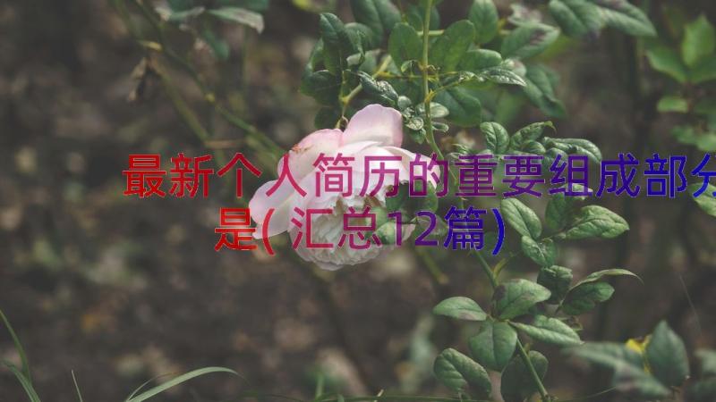 最新个人简历的重要组成部分是(汇总12篇)