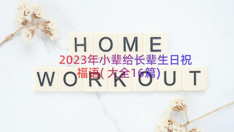 2023年小辈给长辈生日祝福语(大全16篇)