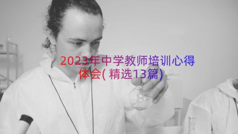 2023年中学教师培训心得体会(精选13篇)