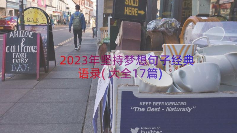 2023年坚持梦想句子经典语录(大全17篇)