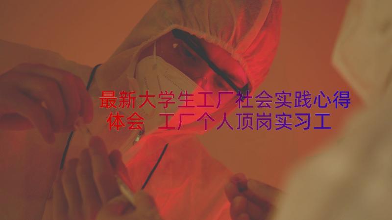 最新大学生工厂社会实践心得体会 工厂个人顶岗实习工作心得总结(大全9篇)