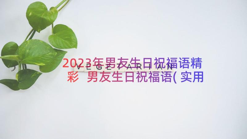 2023年男友生日祝福语精彩 男友生日祝福语(实用16篇)