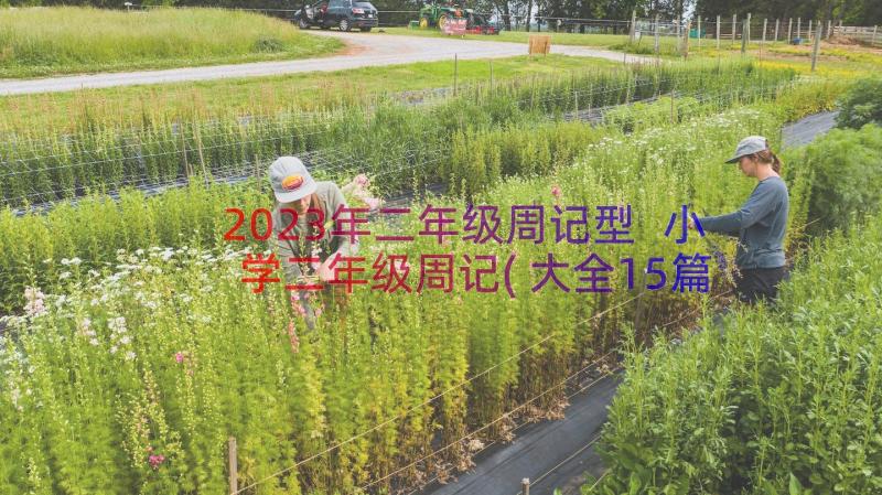 2023年二年级周记型 小学二年级周记(大全15篇)