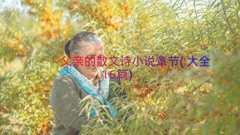 父亲的散文诗小说章节(大全16篇)