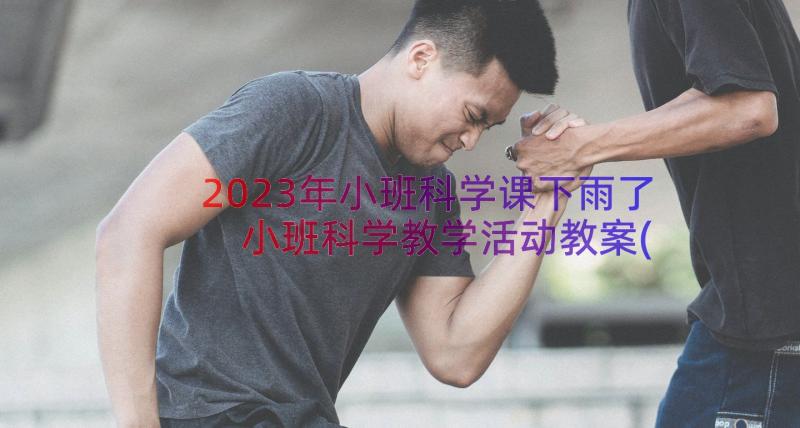 2023年小班科学课下雨了 小班科学教学活动教案(模板8篇)