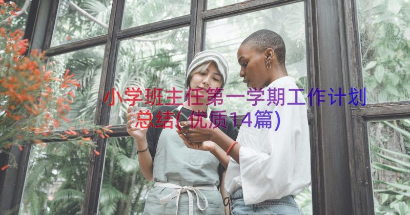 小学班主任第一学期工作计划总结(优质14篇)