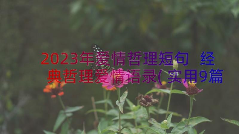 2023年爱情哲理短句 经典哲理爱情语录(实用9篇)