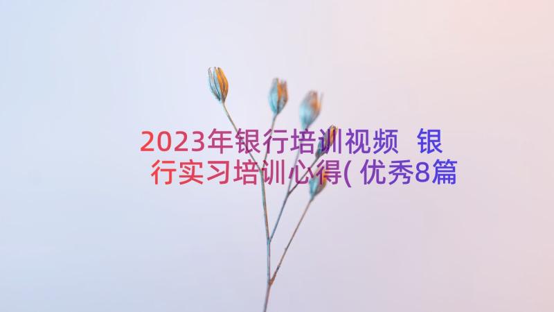 2023年银行培训视频 银行实习培训心得(优秀8篇)