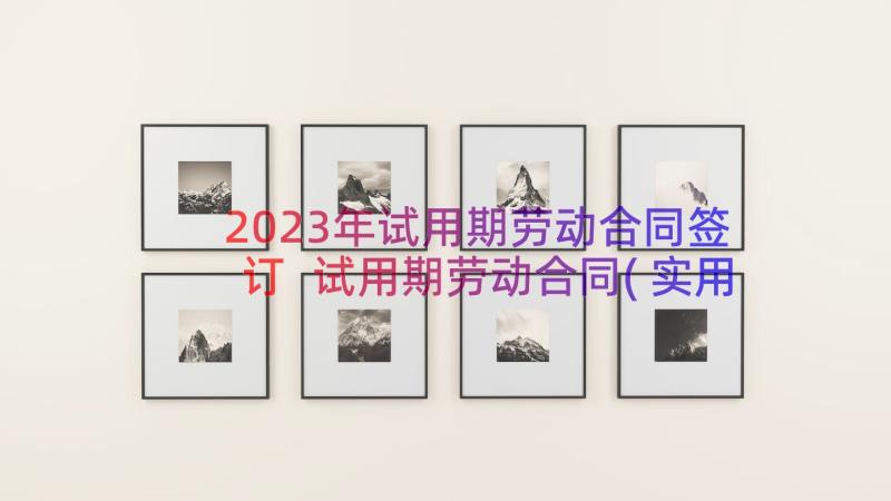 2023年试用期劳动合同签订 试用期劳动合同(实用10篇)