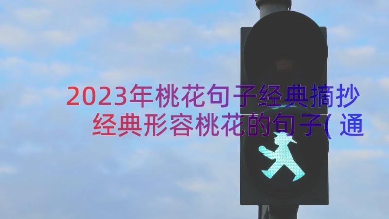 2023年桃花句子经典摘抄 经典形容桃花的句子(通用19篇)