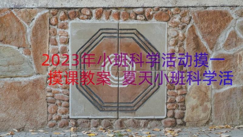 2023年小班科学活动摸一摸课教案 夏天小班科学活动教案(通用6篇)