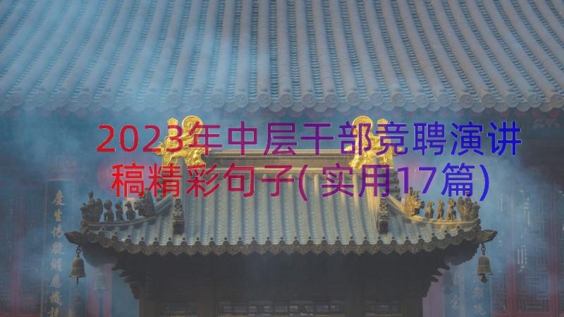 2023年中层干部竞聘演讲稿精彩句子(实用17篇)