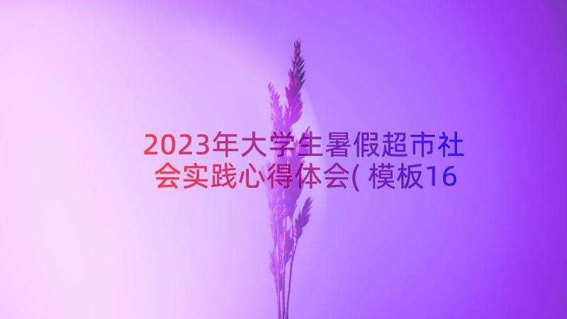 2023年大学生暑假超市社会实践心得体会(模板16篇)