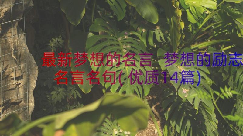 最新梦想的名言 梦想的励志名言名句(优质14篇)