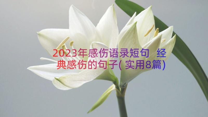 2023年感伤语录短句 经典感伤的句子(实用8篇)