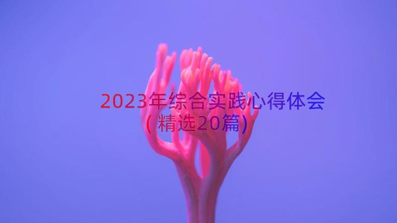 2023年综合实践心得体会(精选20篇)