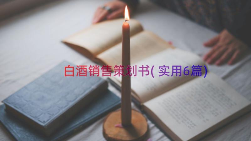 白酒销售策划书(实用6篇)