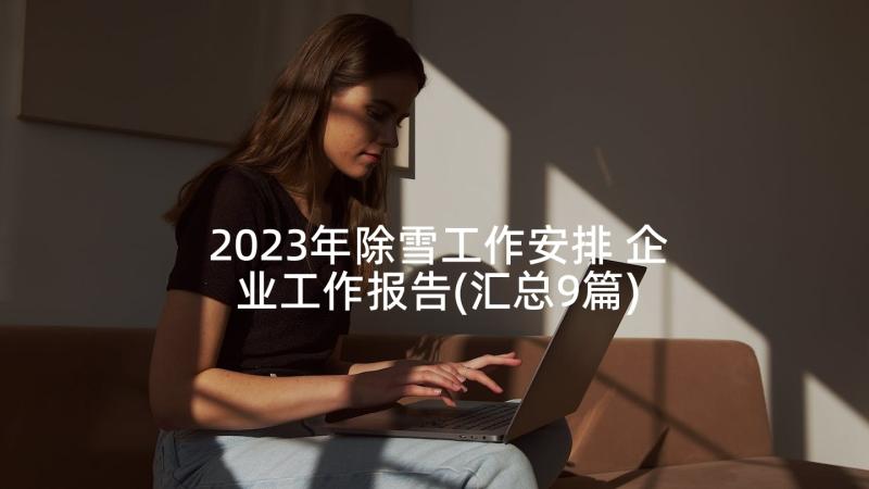 2023年除雪工作安排 企业工作报告(汇总9篇)