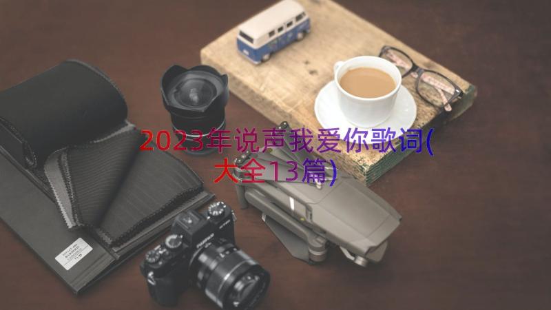 2023年说声我爱你歌词(大全13篇)