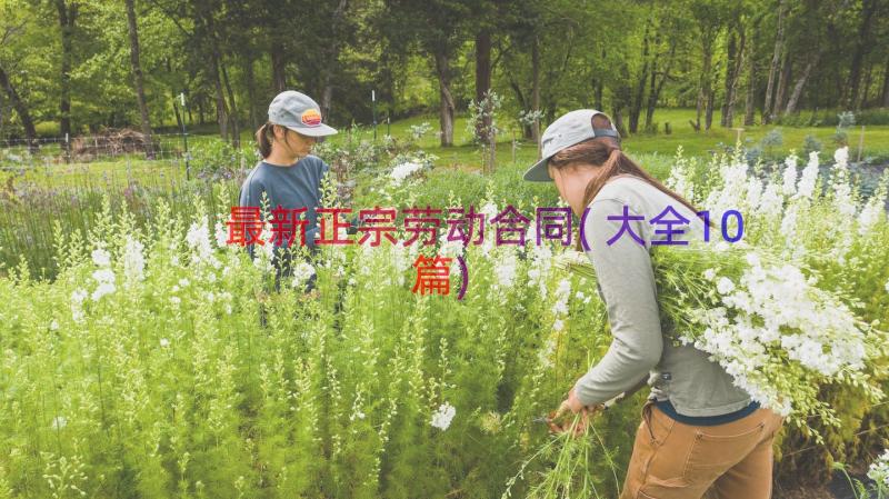 最新正宗劳动合同(大全10篇)