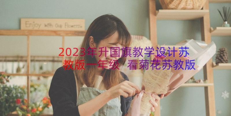 2023年升国旗教学设计苏教版一年级 看菊花苏教版小学语文一年级教学设计(模板8篇)