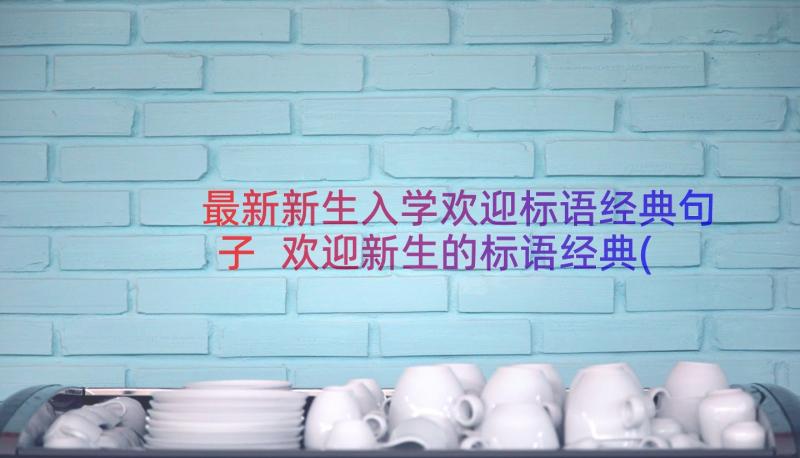 最新新生入学欢迎标语经典句子 欢迎新生的标语经典(大全8篇)