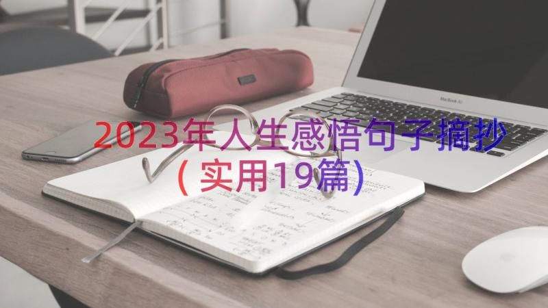 2023年人生感悟句子摘抄(实用19篇)